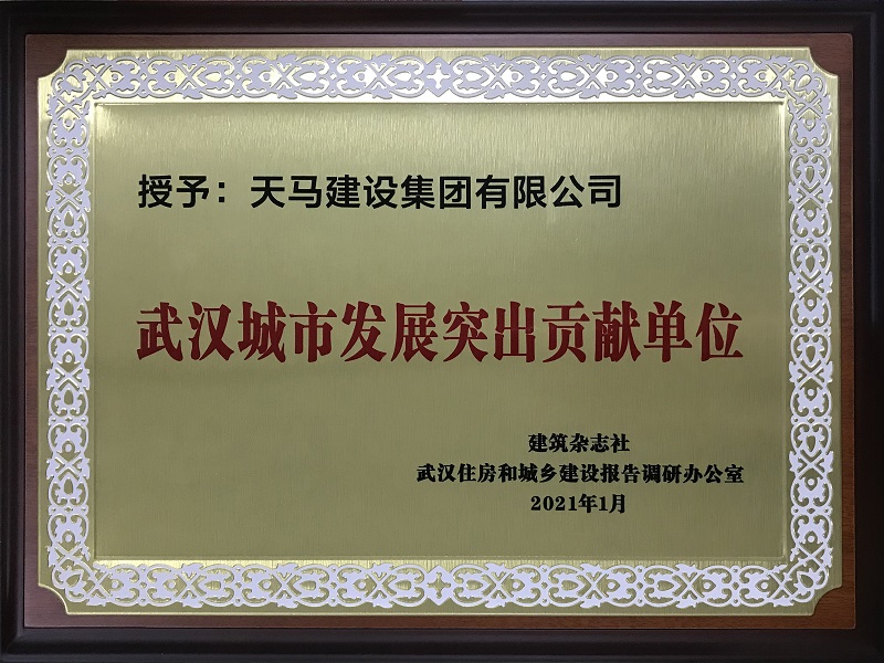 武漢城市發展突出貢獻單位